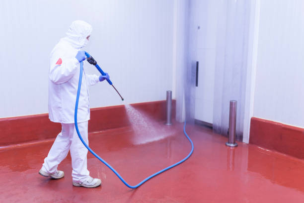 Best Soft Washing  in Wallingford Center, CT